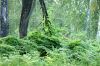 DSC00379.JPG