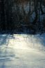 DSC00383.JPG