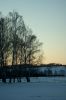 DSC00456.JPG