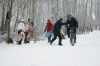 DSC00533.JPG