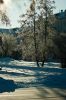 DSC00830.jpg