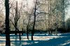 DSC00840.jpg