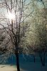 DSC00856.jpg