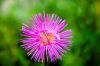 DSC01272.JPG