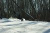 DSC02939.JPG