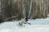 DSC03989.JPG