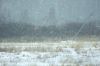 DSC04107.JPG