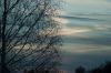 DSC04746.jpg
