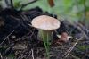 DSC05408.JPG