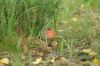 DSC05415.JPG