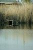 DSC05890.JPG