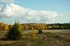 DSC08374.JPG