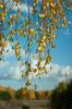 DSC08376.JPG