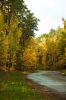 DSC08381.JPG