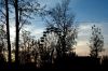 DSC08892~0.JPG