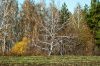 DSC08942.JPG