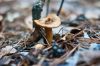 DSC09369.JPG