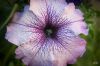 DSC09552.JPG