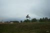 DSC09795~0.JPG