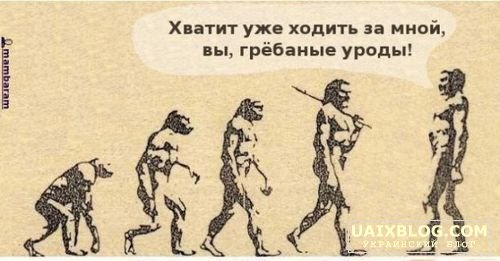 1190340030_evoluc.jpg