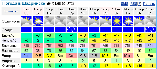 Погода в шадринске сегодня по часам