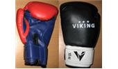 3_14_244014_viking_135624.jpg