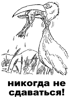 .gif