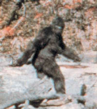 bigfoot1.jpg