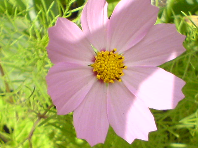 DSC00044.JPG
