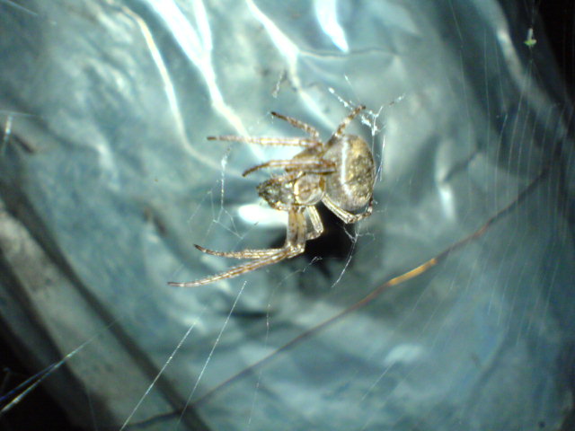 DSC00344.JPG