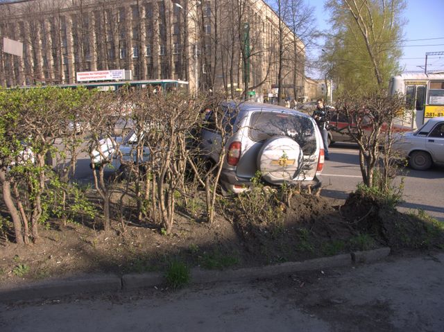 niva0.jpg