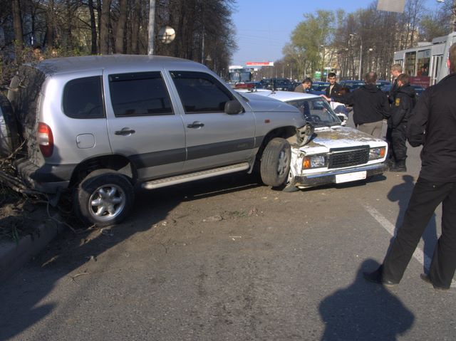 niva1.jpg