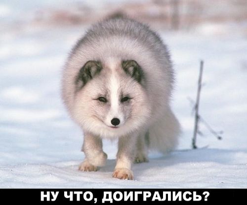 pesec.jpg