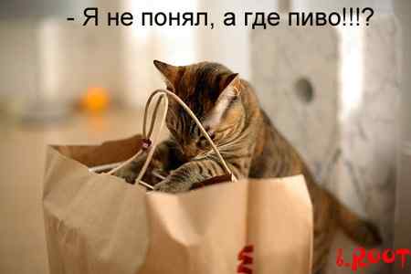 stopme_ru_58_0_20070109_11538_1.jpg