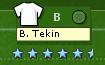 tekin.JPG