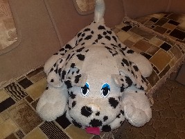 11082011423.jpg
