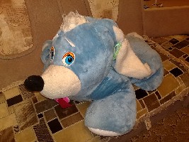 11082011424.jpg