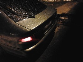 _oto0251.jpg
