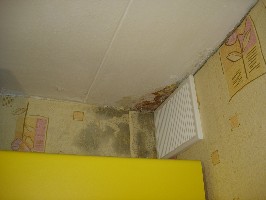 dsc01223.jpg