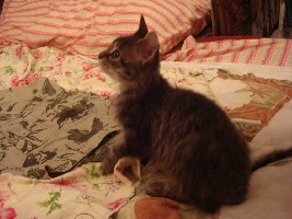 dsc08579.jpg