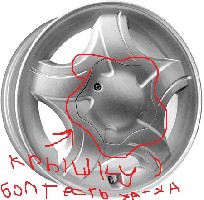 kik_kalina.jpg