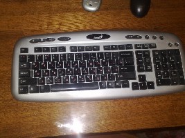 x_e8cb2a41.jpg