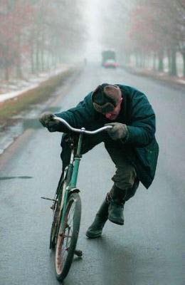 velomuji.jpg
