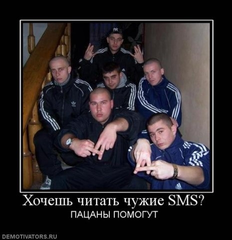 wsvbmohxr7.jpg
