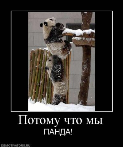 x_93196d5c.jpg